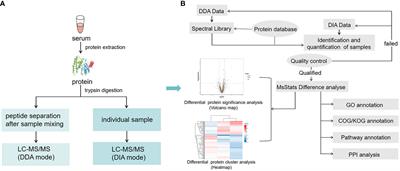 Novel serum proteomic biomarkers for early diagnosis and aggressive grade identification of prostate cancer